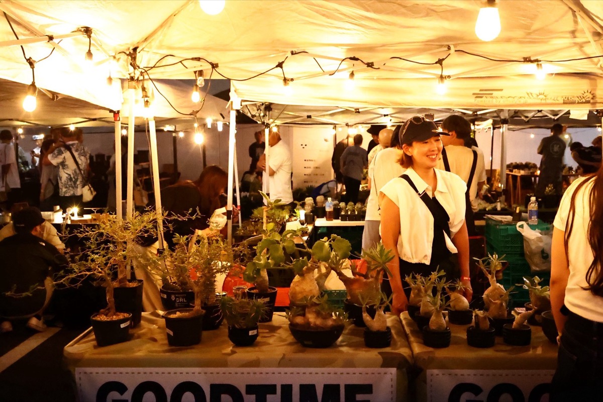 ボタニカル夜市 過去の様子